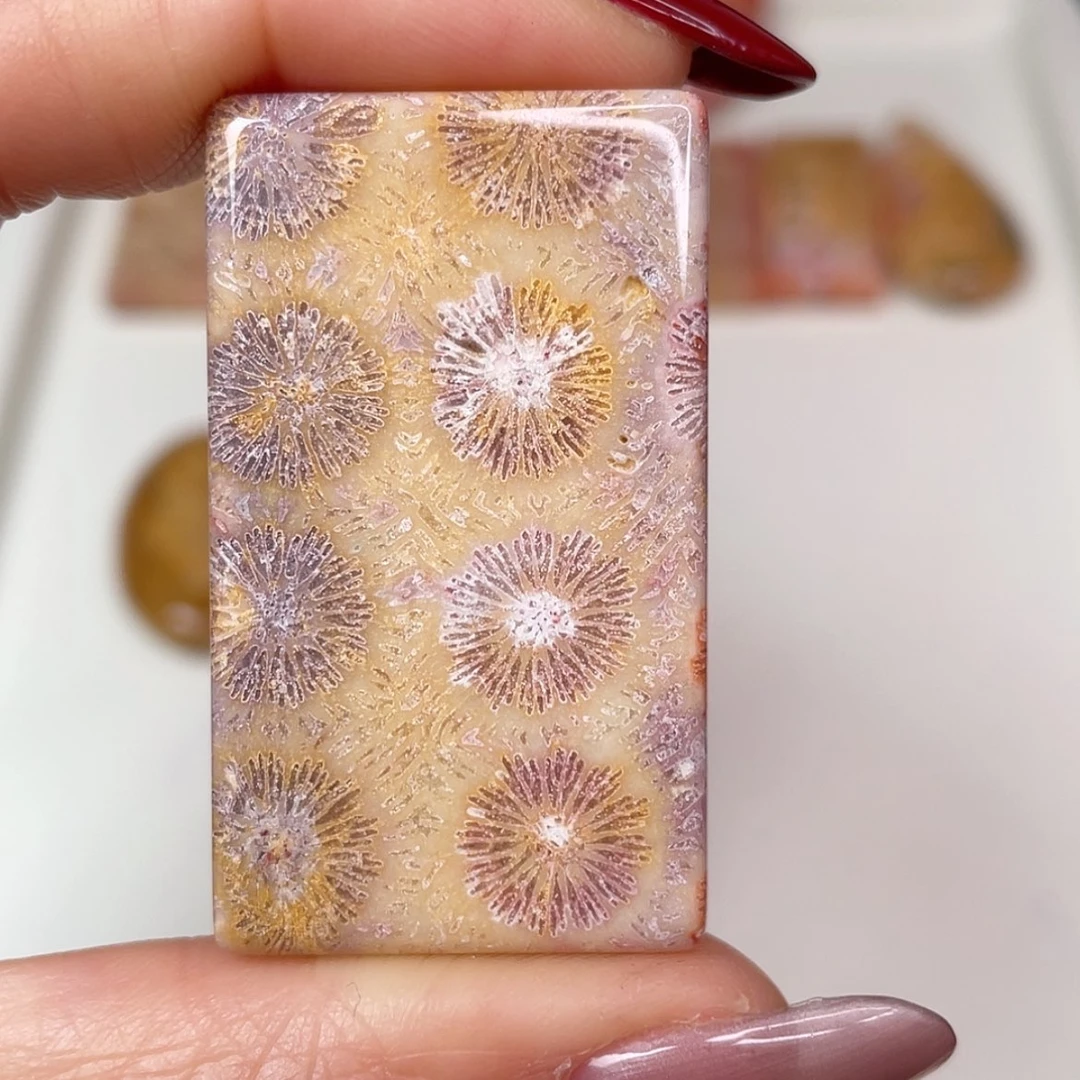 【闪购商品】未镶嵌吊坠(赠链)硅化玉