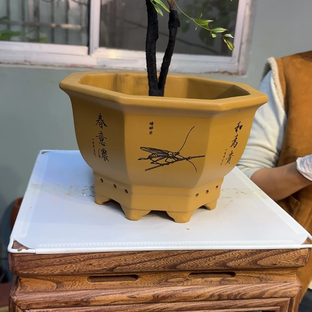 紫砂花盆紫砂口径27