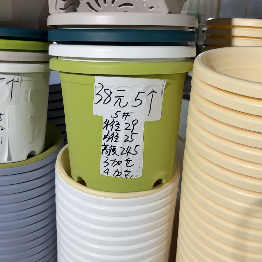 果绿色5号口径29高25无拖5个
