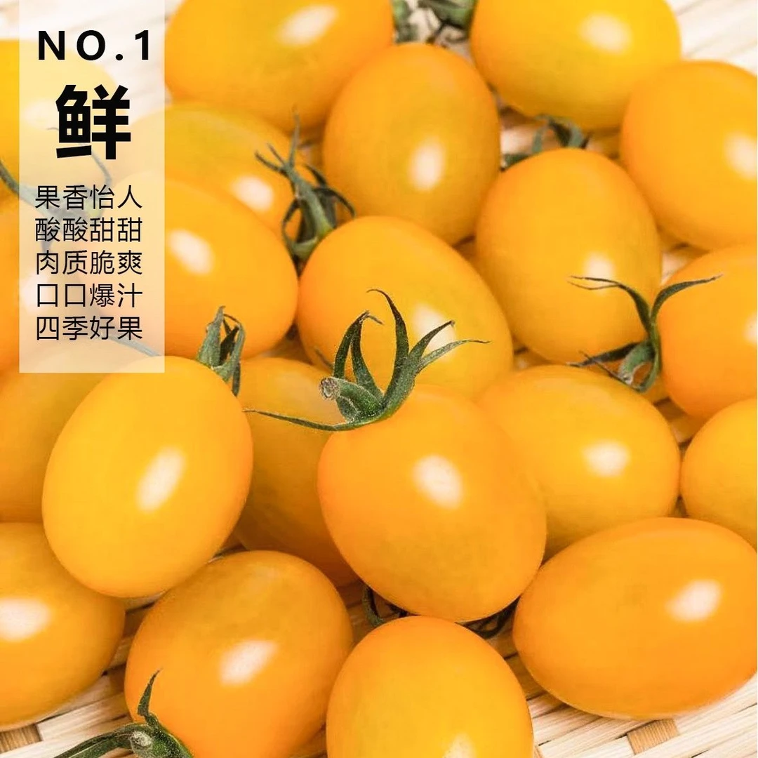辽宁特产圣女果自然熟蜜蜂授粉小黄番茄黄姑娘果甜蜜多汁新鲜水果