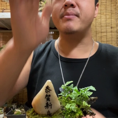 红陶一物一拍所见即所得88