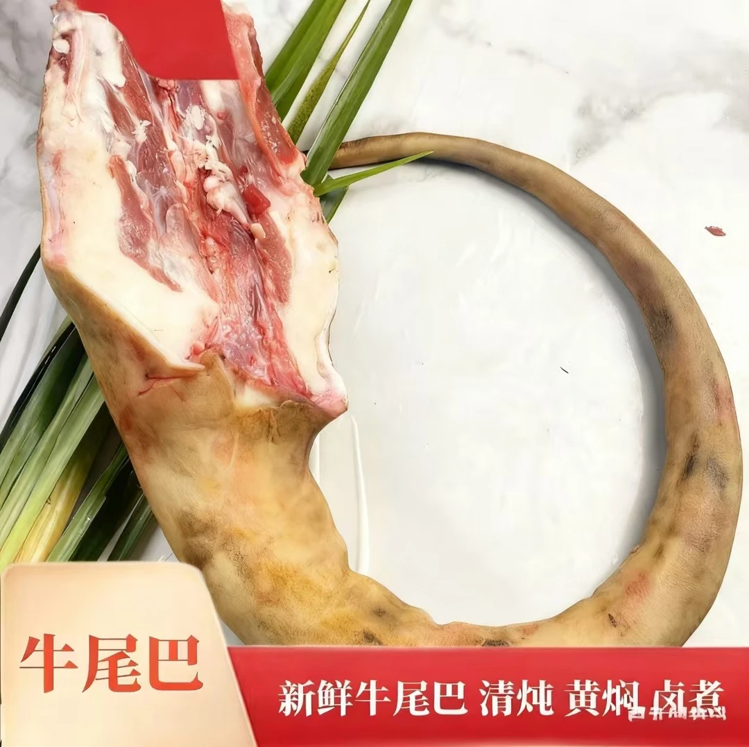 【新鲜牛尾巴】新鲜牛尾  黄牛牛尾牛尾巴新鲜清炖黄焖 新鲜土黄牛