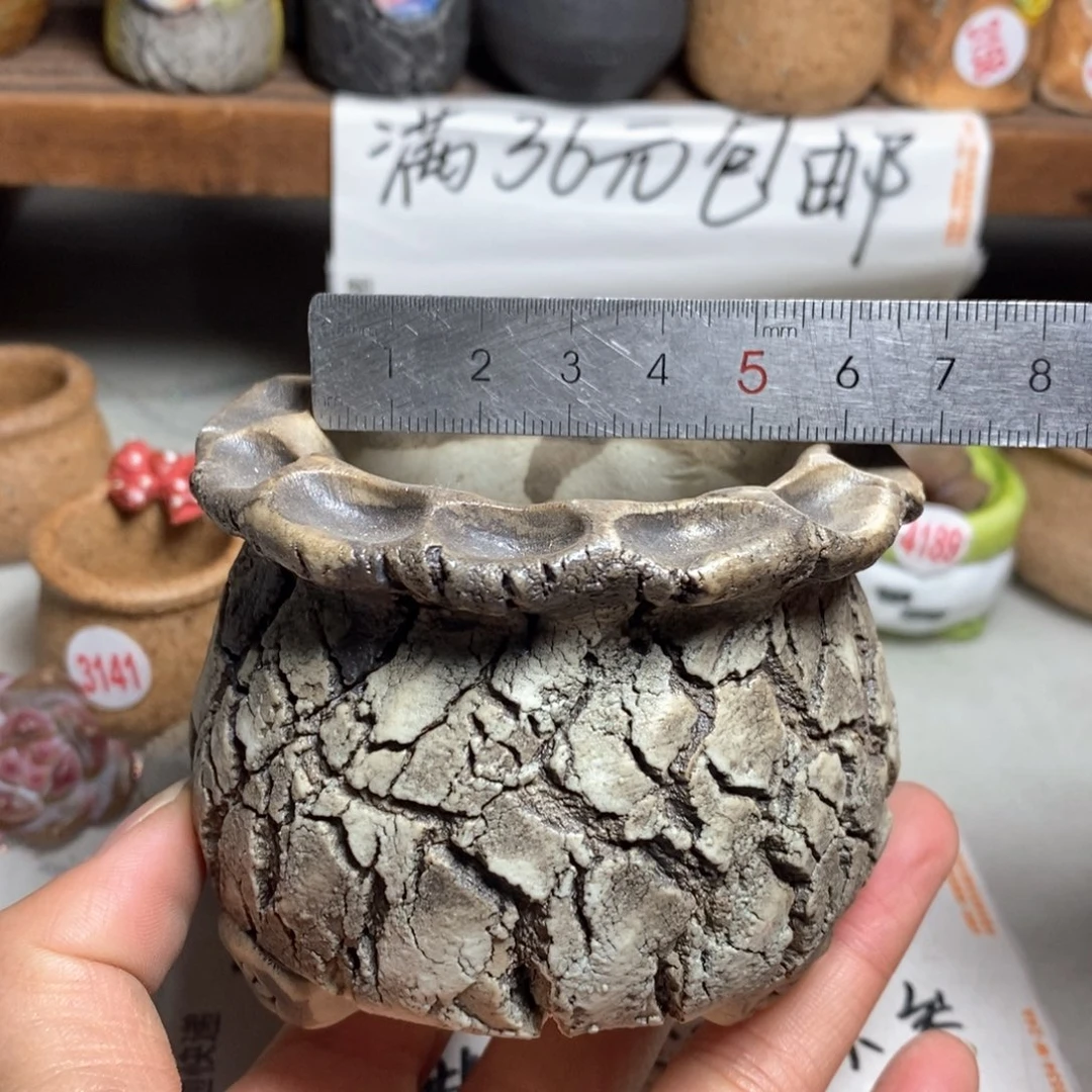 红陶拍5送一个小