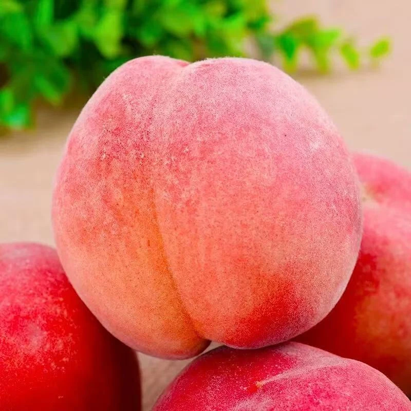 f【平谷大桃】头茬新鲜采摘平谷大桃 净重3斤和5斤（±2两） 顺丰包邮当季新鲜水果桃子北京市 桃子同城送北京市