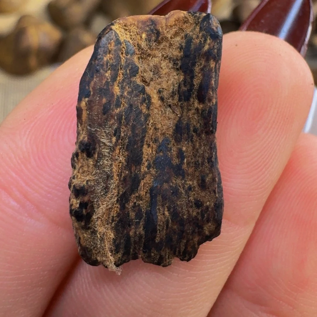 沉香吊坠越南惠安红土吊坠