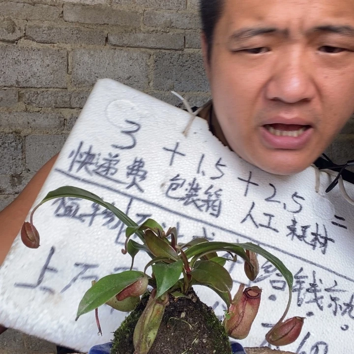 退款拉黑一物一拍155