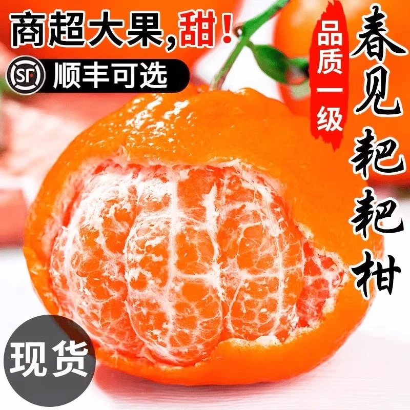 正宗四川春见耙耙柑手剥橘子粑粑杷杷柑当季整箱新鲜水果特级顺丰