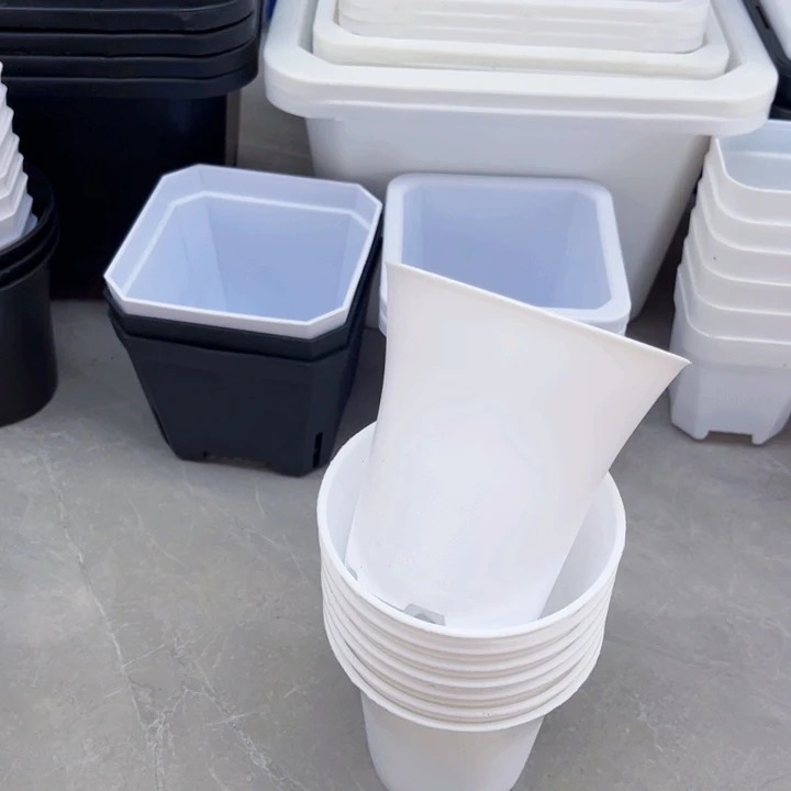 塑料白万象口9高9一组5个