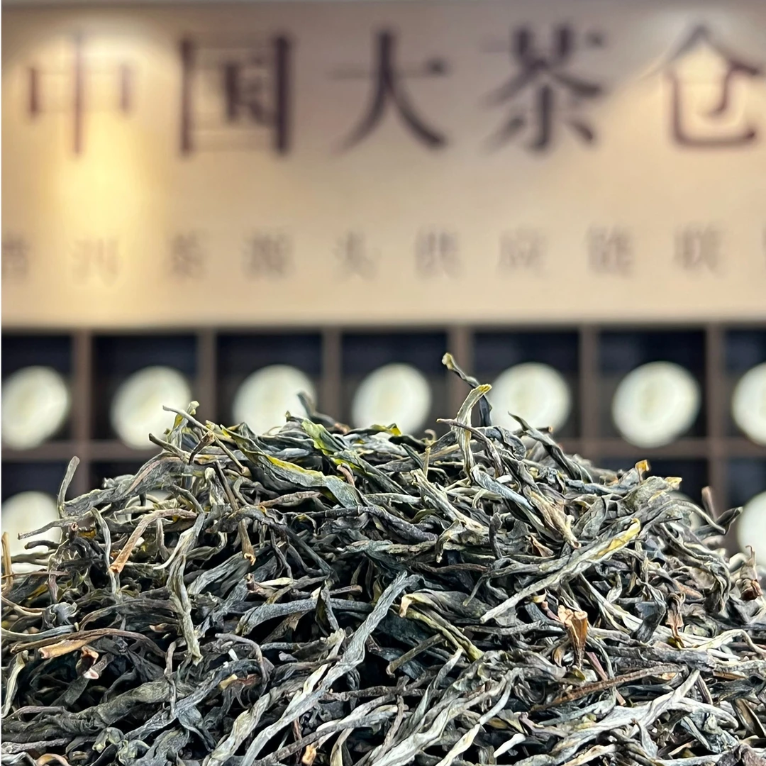 【云南老罗普洱茶】冰岛糯伍 2025年秋茶普洱生茶 散茶