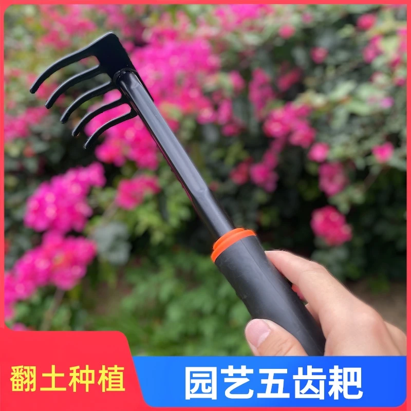 多肉铁铲铁锹五齿耙两用除草铲土种花赶海工具小铲子锄头种菜养花