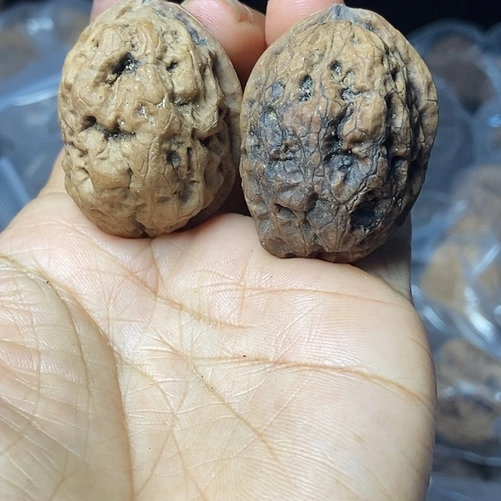 文玩核桃把件云南铁核桃基地55
