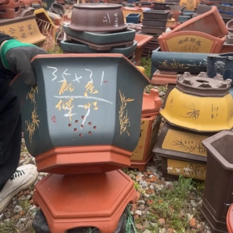 紫砂花盆紫砂花盆盆景盆栽