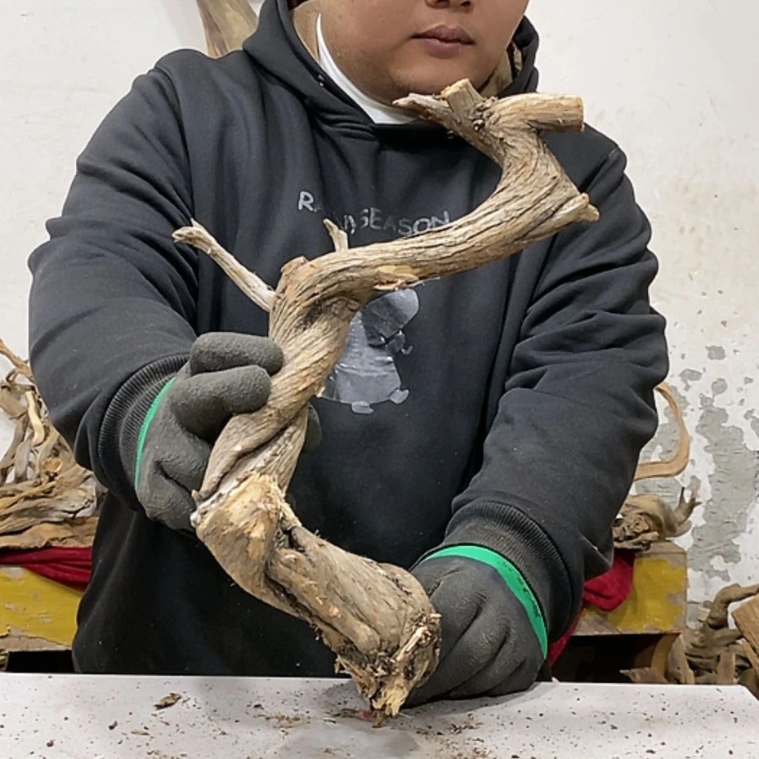 【闪购商品】柏木云*我们都是好孩子