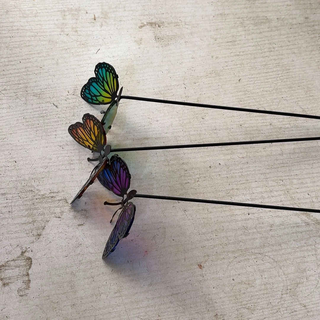 核桃木/黑胡桃（胡桃木）