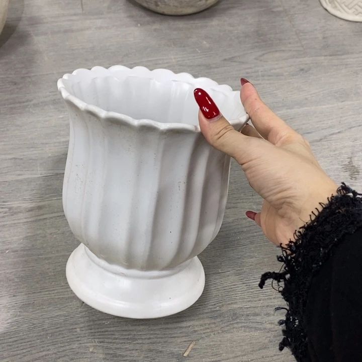 花盆5588888000000000000000