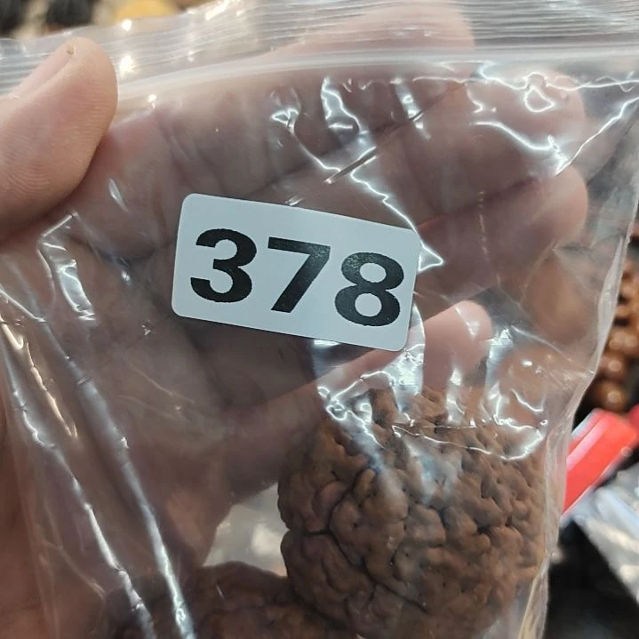 文玩核桃吊坠巨*文玩核桃