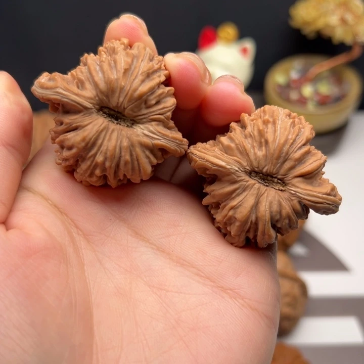 快***我核桃43全品四座楼