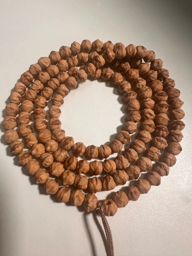 红芽横打柏香籽原装红油皮红油肉高密高油