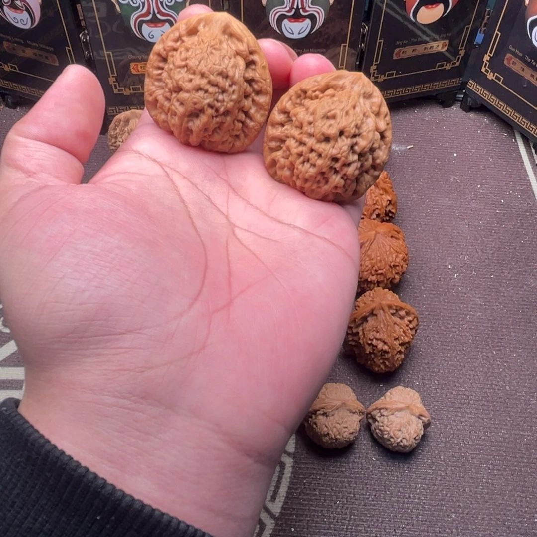 蔡***哥核桃金公子11111112