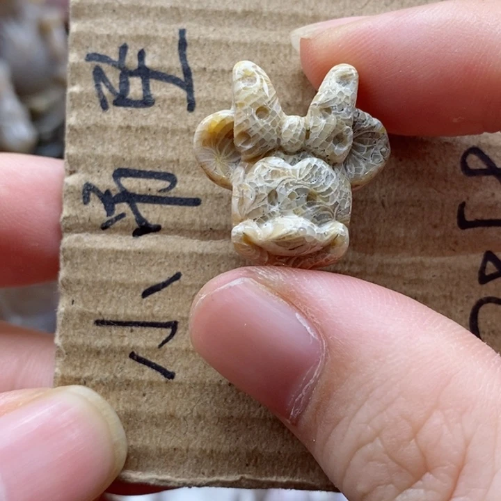 硅化珊瑚（珊瑚玉）颈饰未镶嵌