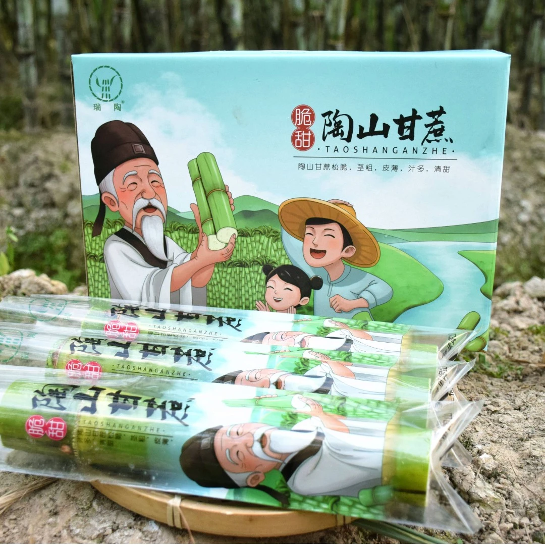 正宗陶山甘蔗青皮当季水果松脆清甜皮薄现砍现发顺丰