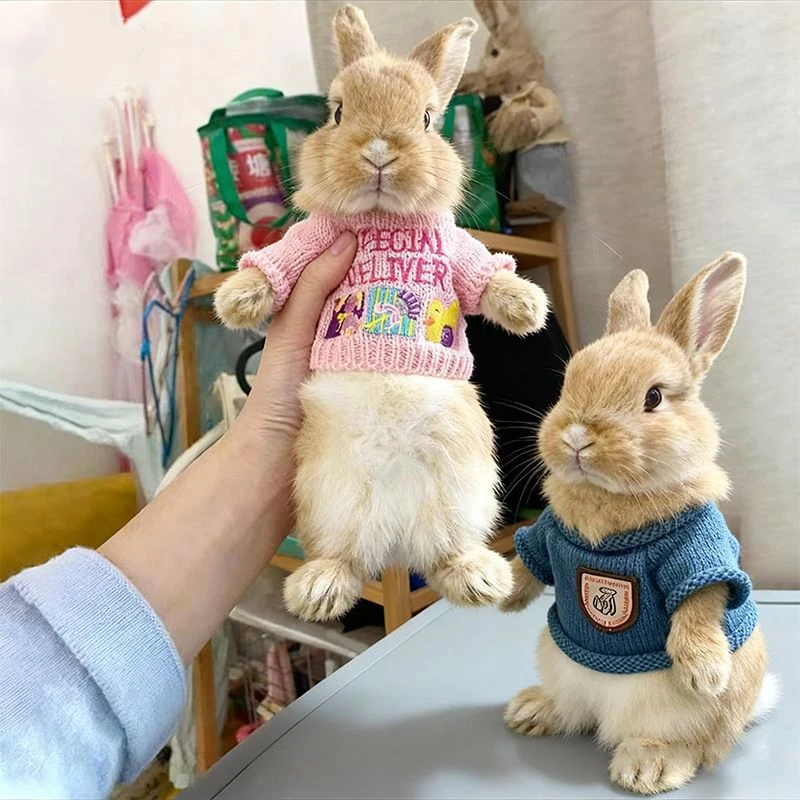 兔子猫咪狗狗衣服小号毛衣秋冬款保暖侏儒兔奶狗奶猫可爱刺绣服饰