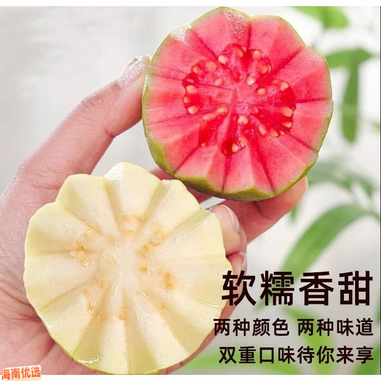 【大莲萌专属】广西红心软心芭乐番石榴土芭乐软香鸡屎果新鲜水果