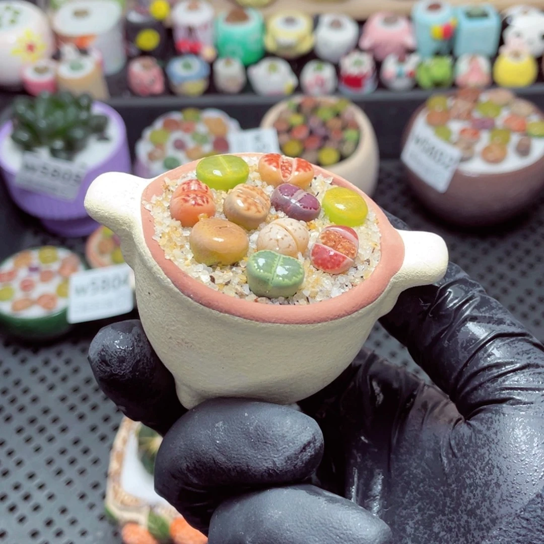 7*w5806--带盆土发货，零下地区拍保温箱