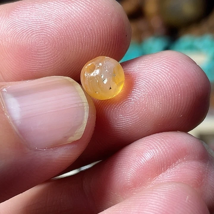 大叶紫檀（黑酸枝木类）