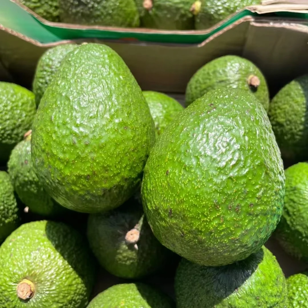 【坏果包赔】牛油果 8粒 单果110-130克