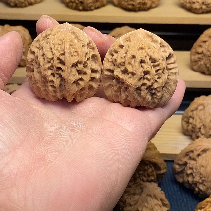 核桃41蓟县佛肚福利核桃