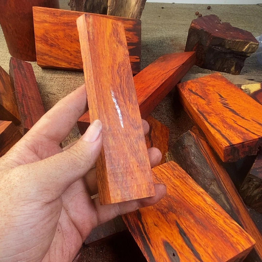 阿***甘123456印度小叶紫檀