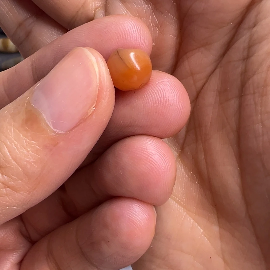 直发专拍专用链接