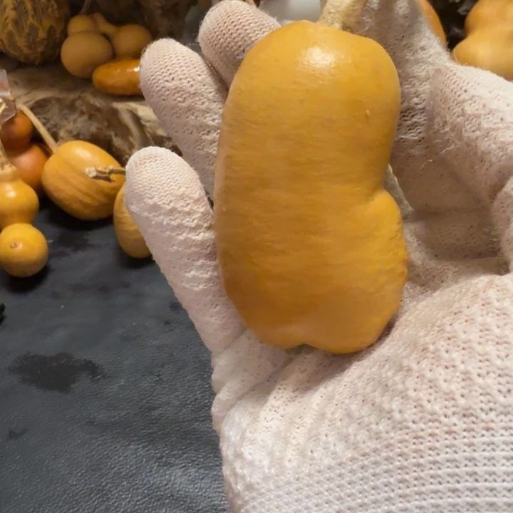 殷***琪66……………………………………