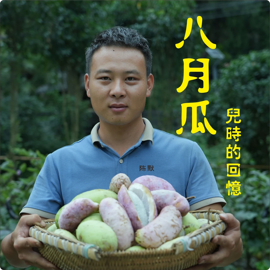 八月瓜当季水果现摘网红水果特色水果八月炸