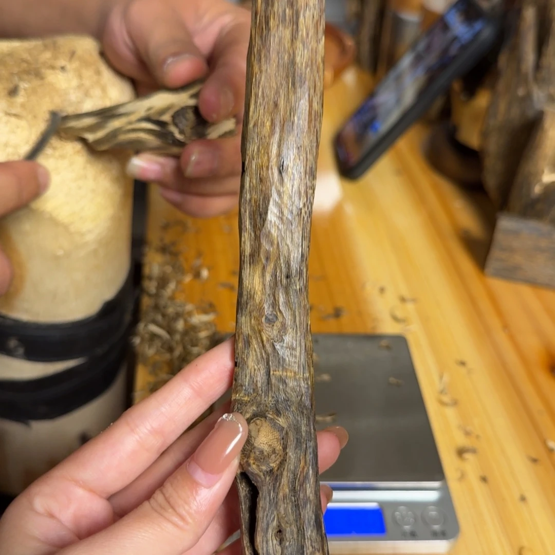 沉香白奇虫漏香26克