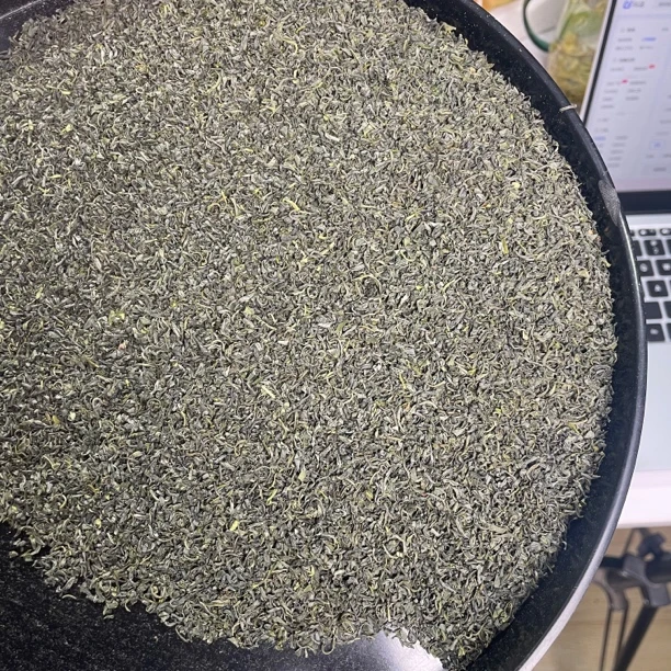 【满天星】绿茶 2025年 新茶绿茶