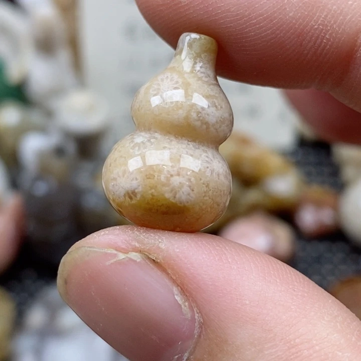 硅化珊瑚（珊瑚玉）未镶嵌颈饰小
