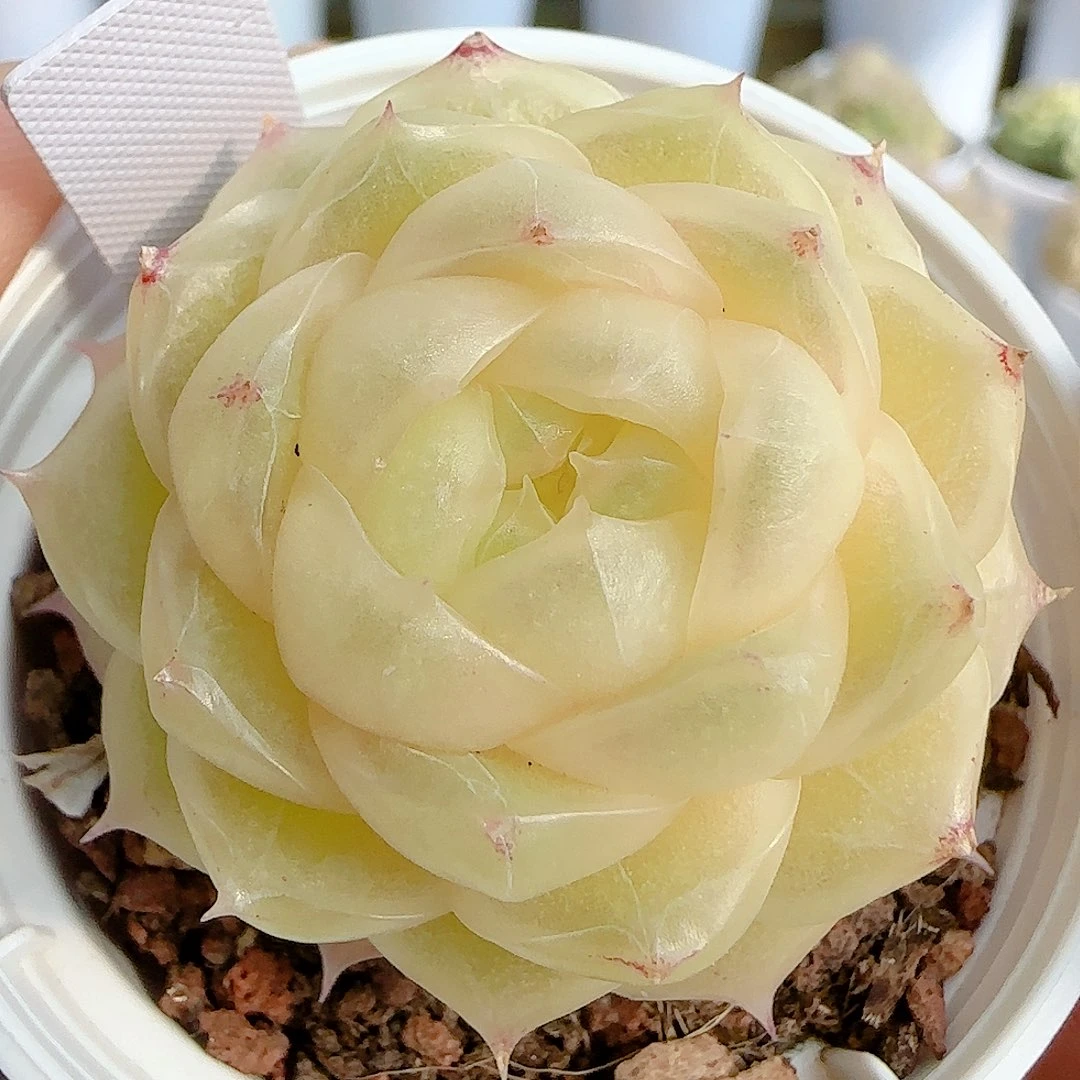 1214-130（p3-72）优选