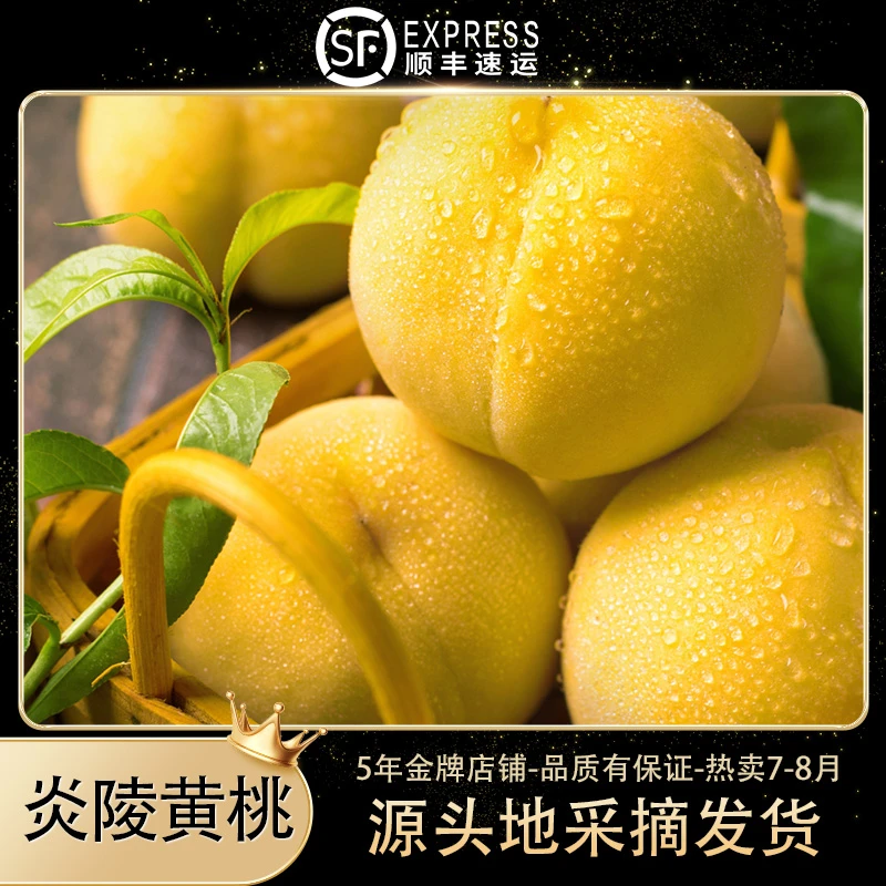 炎陵黄桃【顺丰】炎陵黄桃湖南炎陵高山黄桃18-24粒