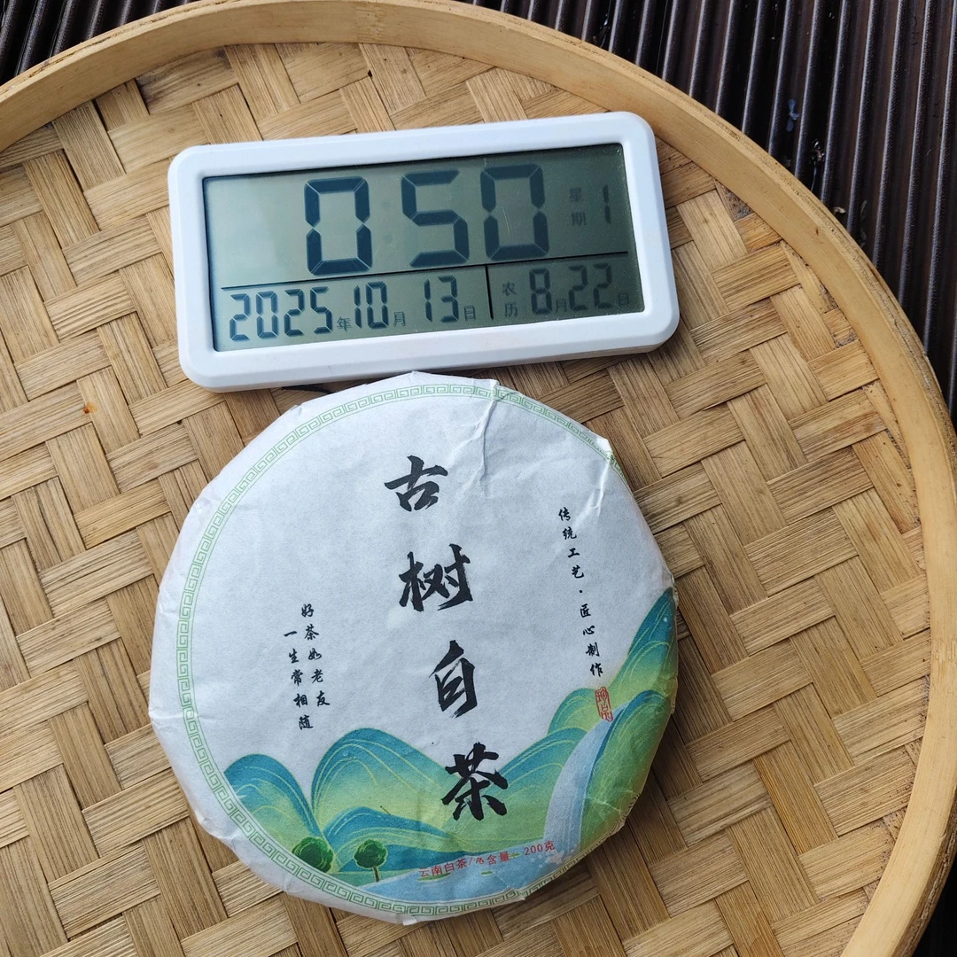 【2355号】2024年大朝山古树白茶  秋 紧压茶白茶 200克拍一发二