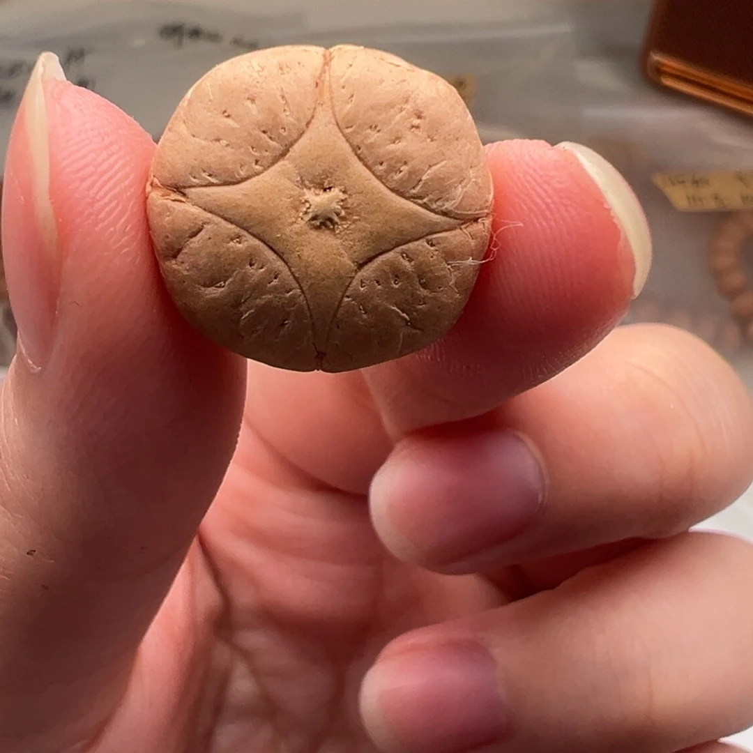 凤眼菩提吊坠麒麟18号