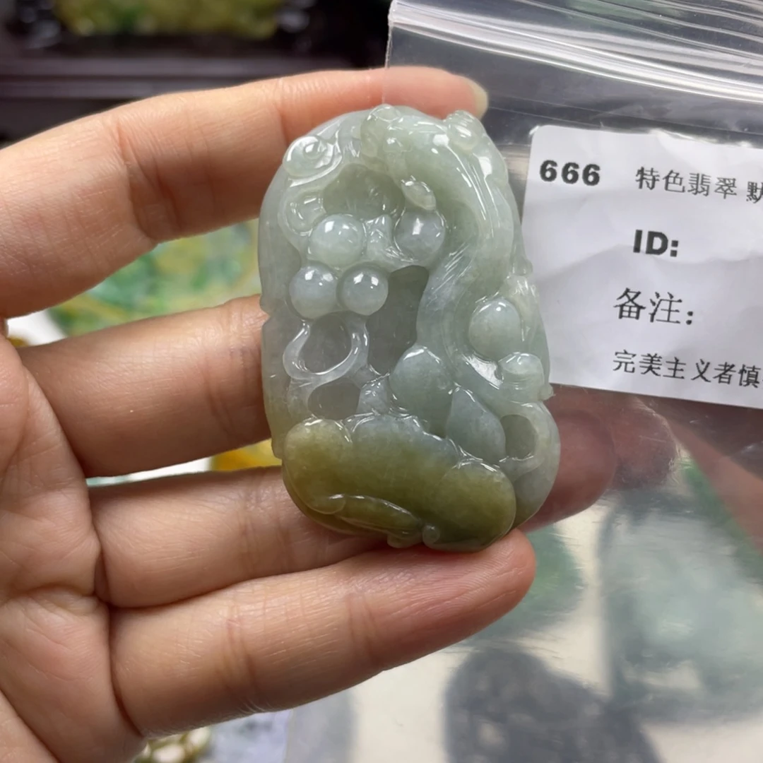 翡翠未镶嵌颈饰牌子