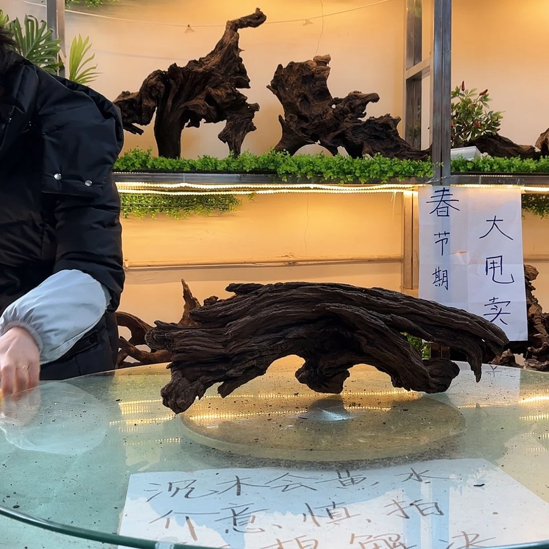 柚木沉木鱼缸造景