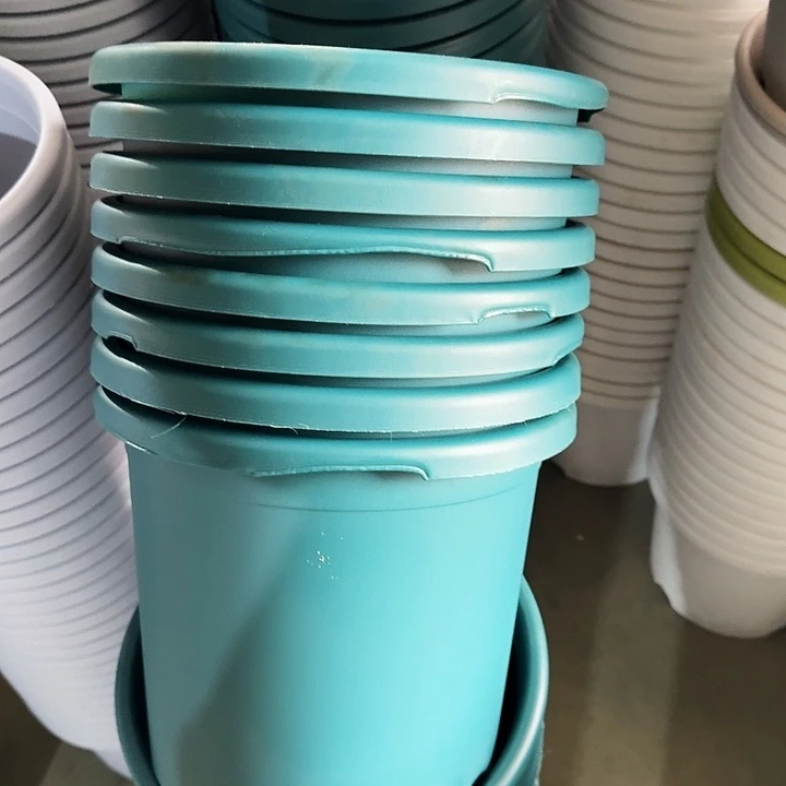 缺口5#口径29军绿5个无托