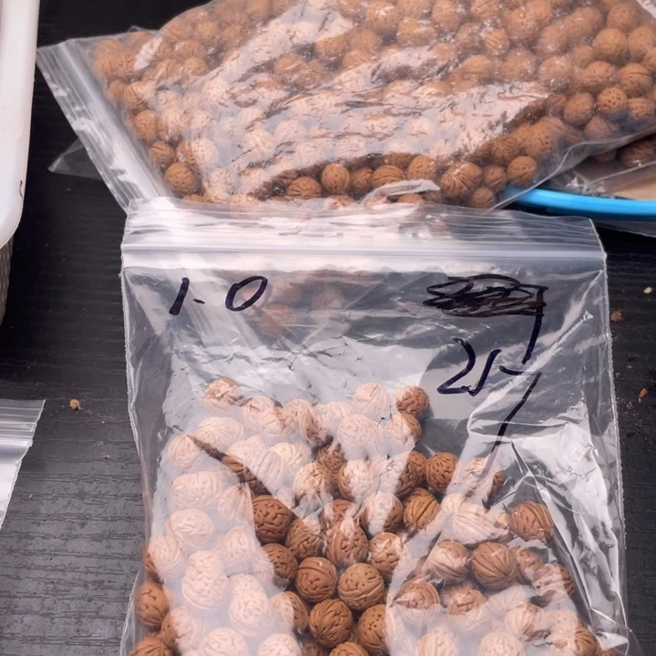 【闪购商品】核桃其他私人定制不退不换200