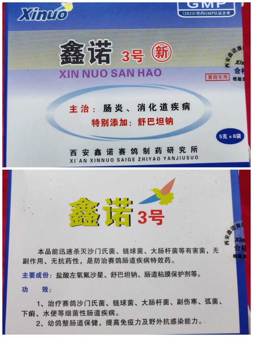 沙门氏菌，肠道，消化道