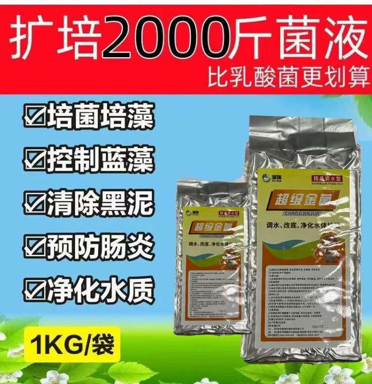 生物饲料发酵剂用于发酵玉米控制蓝藻等
