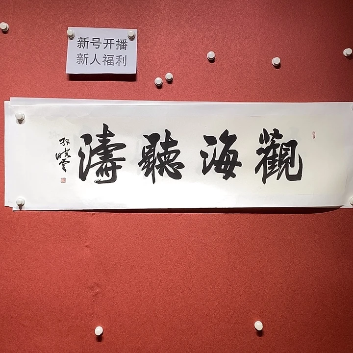 书法观海听涛直播大漏