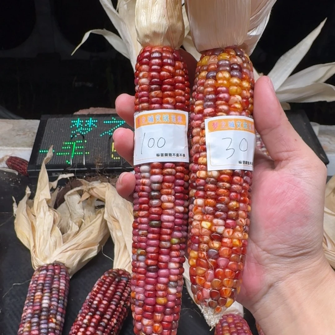 南***意吊坠柏香籽/百香籽